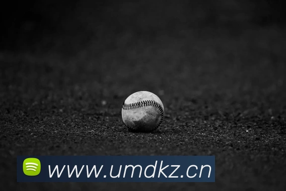 leyu乐鱼品牌故事