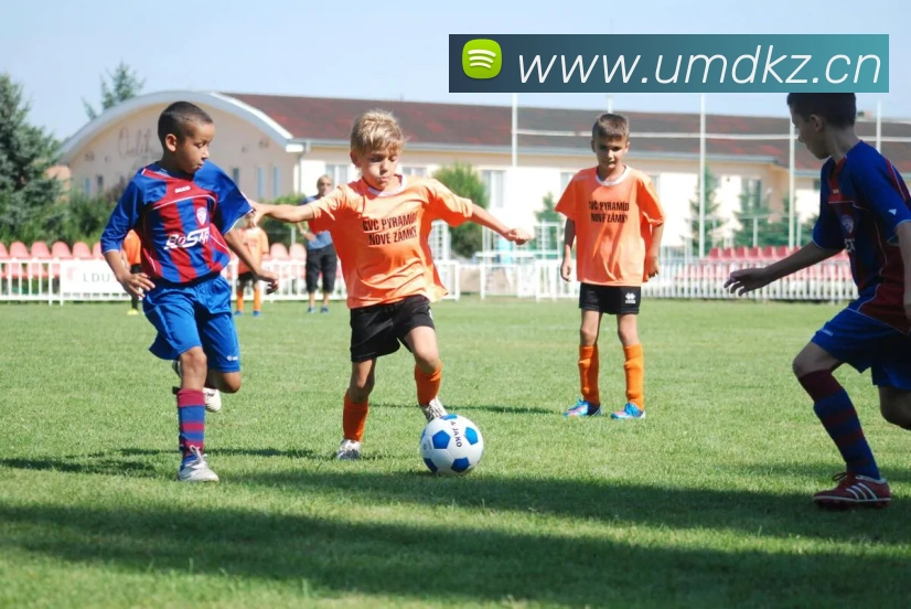 leyu乐鱼服务体系